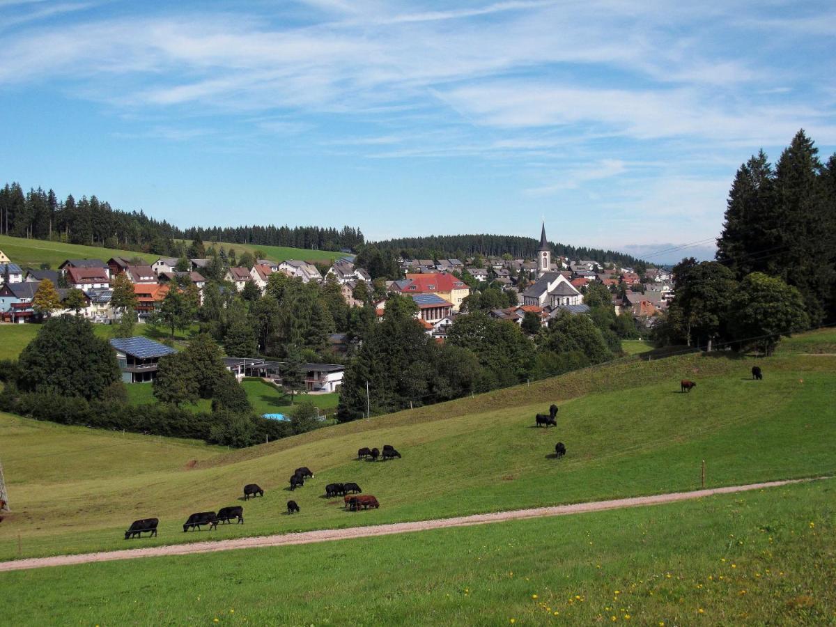 Landhotel Garni Schweizerhaus Schönwalde Buitenkant foto